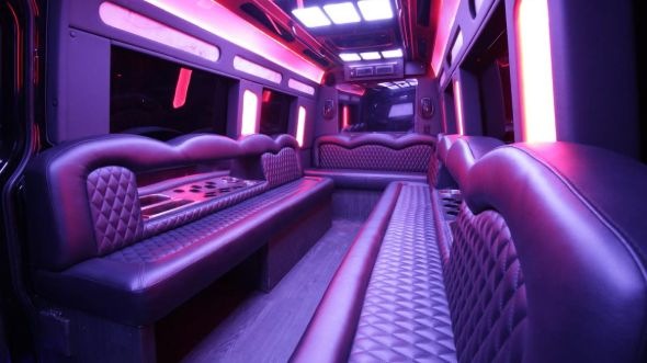 bedford sprinter limo rental inside